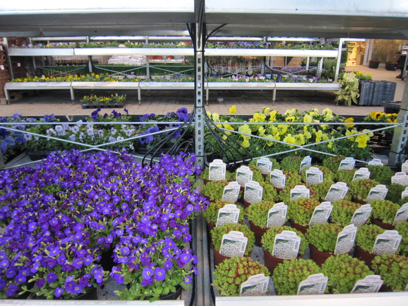 Bordsbevattning med dropp Bordsbevattning med bubblers där vattnet fylls på automatisk på borden, uteförsäljning gardencenter